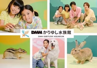 DMMかりゆし水族館、世界最大級のウサギやシマリスが7月18日から仲間入りのサムネイル画像