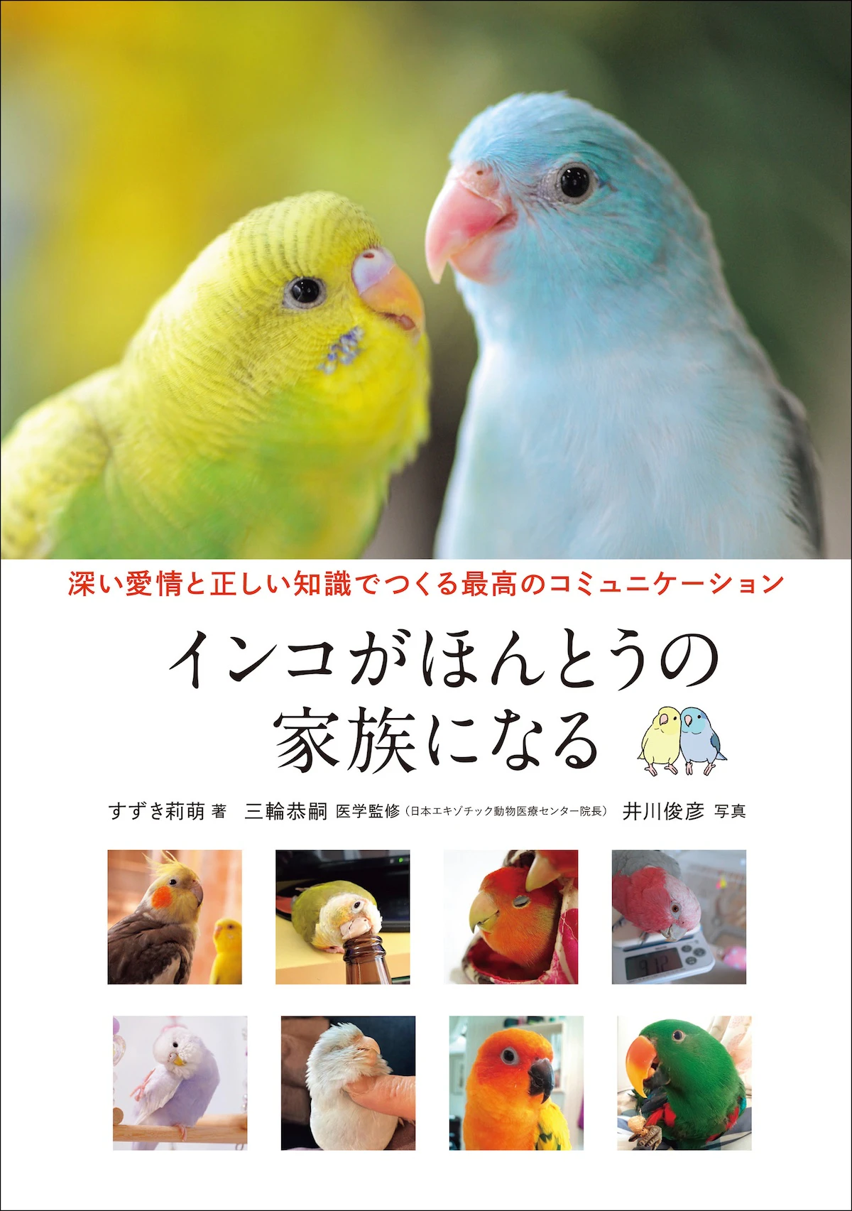 インコを家族として迎えるための完全ガイドブック『インコがほんとうの家族になる』発売のサムネイル画像