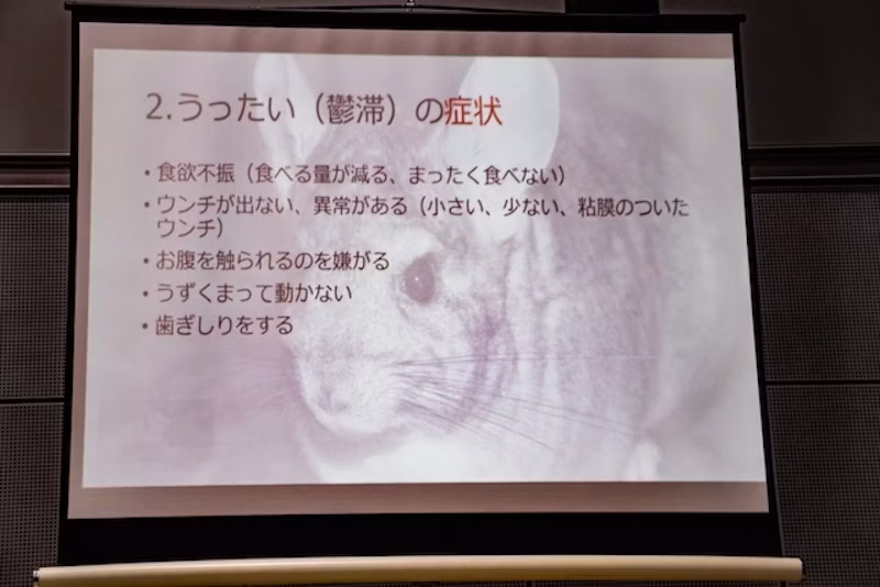 うっ滞の症状