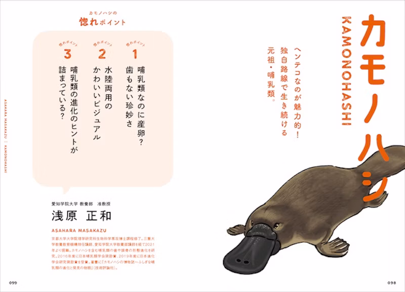 カモノハシ