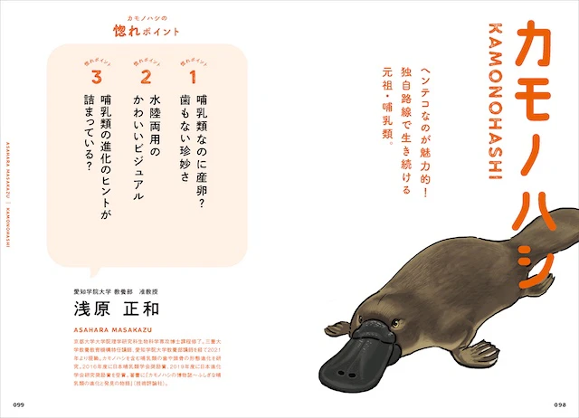 カモノハシ