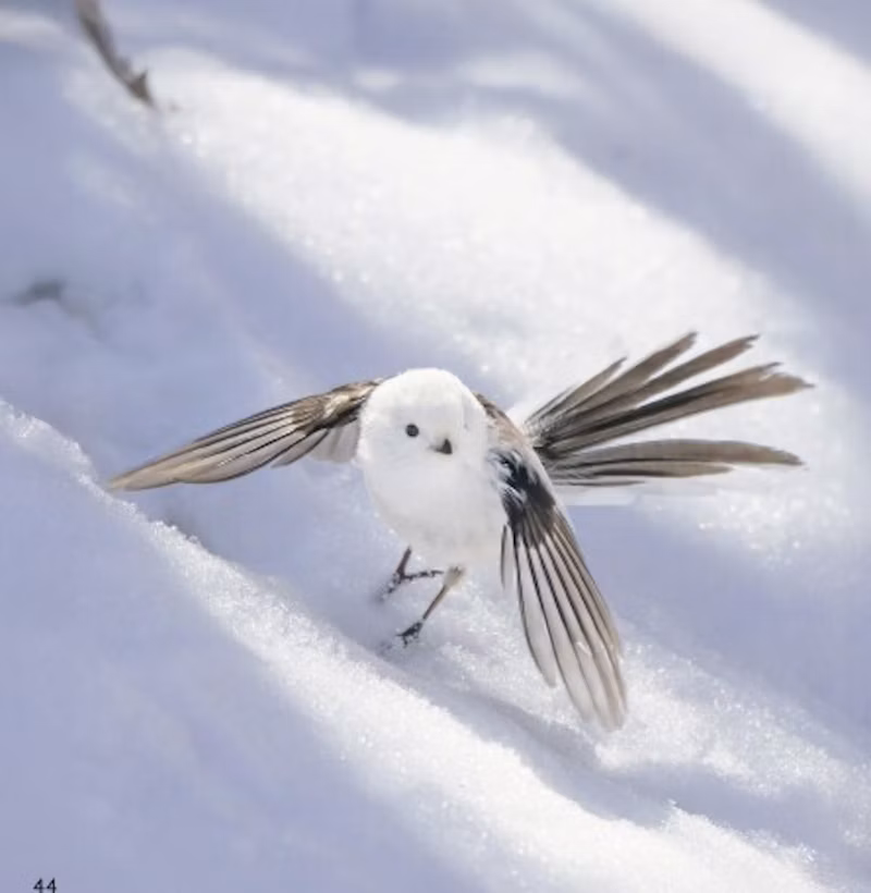 着陸せいこう（・⊝・）