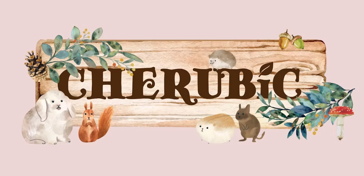 Minima初の特集企画が決定！小動物雑貨ショップ「CHERUBiC」と贈る、作家たちの物語