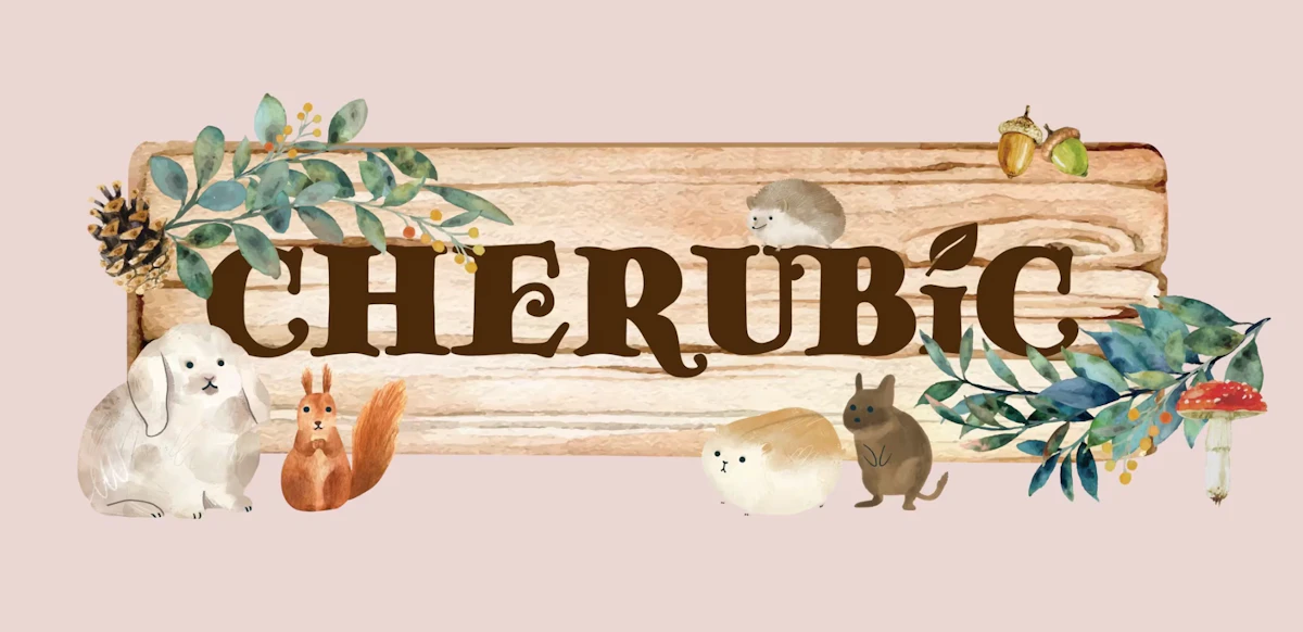 Minima初の特集企画が決定！小動物雑貨ショップ「CHERUBiC」と贈る、作家たちの物語のサムネイル画像