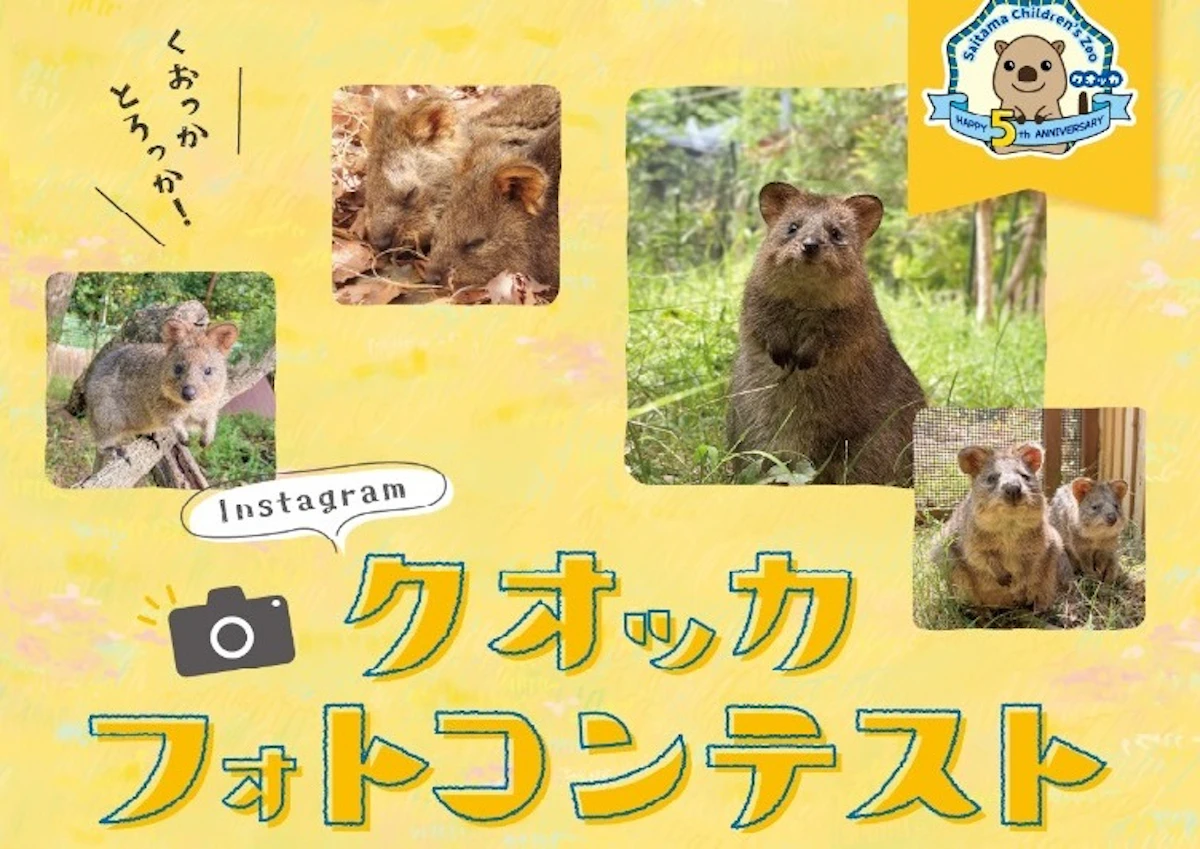 クオッカ5周年も！埼玉県県営公園GWイベントで思い出づくりのサムネイル画像