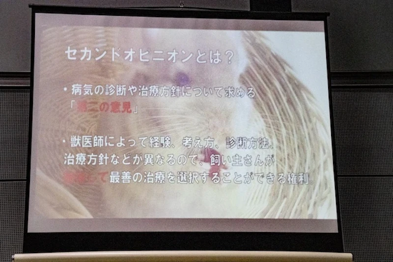 セカンドオピニオンとは？