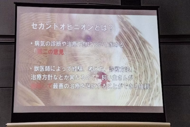 セカンドオピニオンとは?