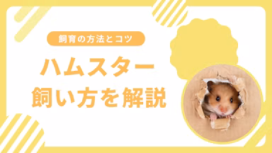 ハムスターの飼い方完全ガイド|初心者でも安心して飼育できる方法とコツのサムネイル画像