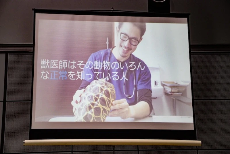 獣医師とは動物の正常を知っている人