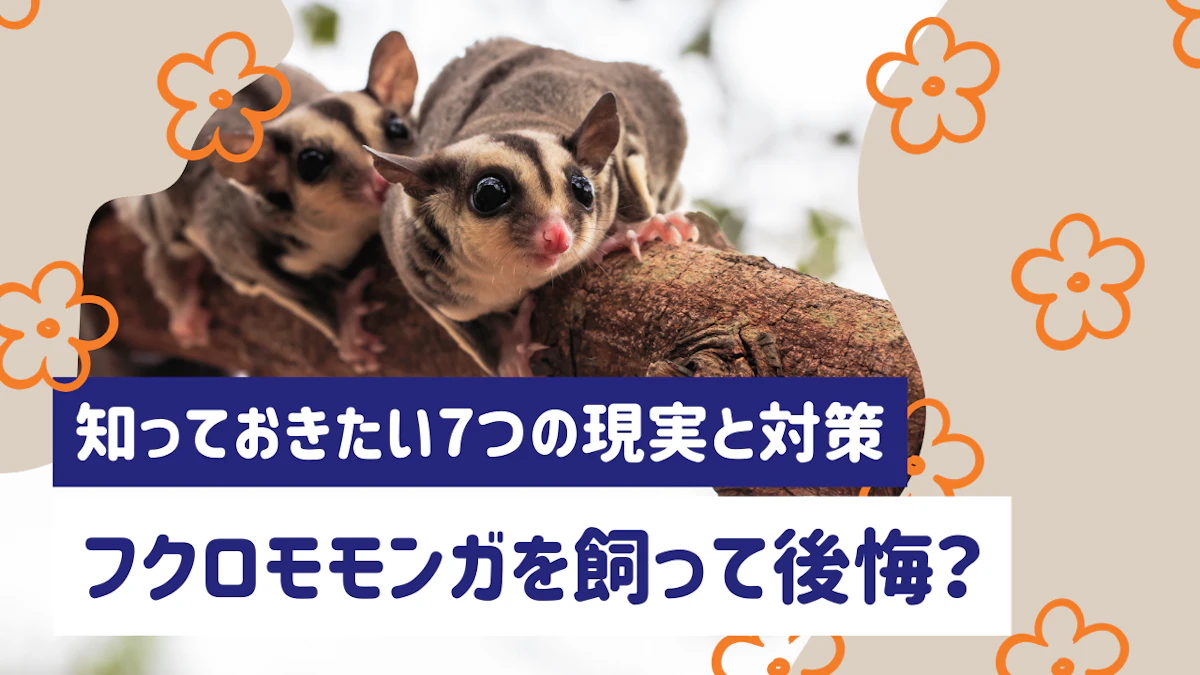 フクロモモンガを飼って後悔する人は？知っておきたい7つの現実と対策のサムネイル画像