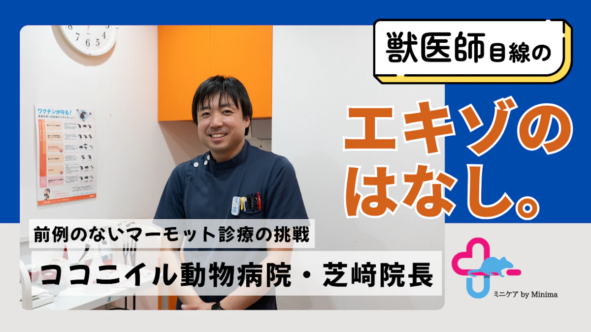 ココニイル動物病院・芝﨑院長がマーモット診療の最前線で考える、エキゾ医療の本質とは【エキゾのはなし。#11】