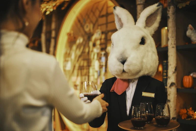 エゾユキウサギのサービスイメージ