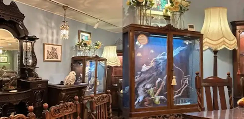 BAM鎌倉プロデュースの英国アンティークで囲まれた店内