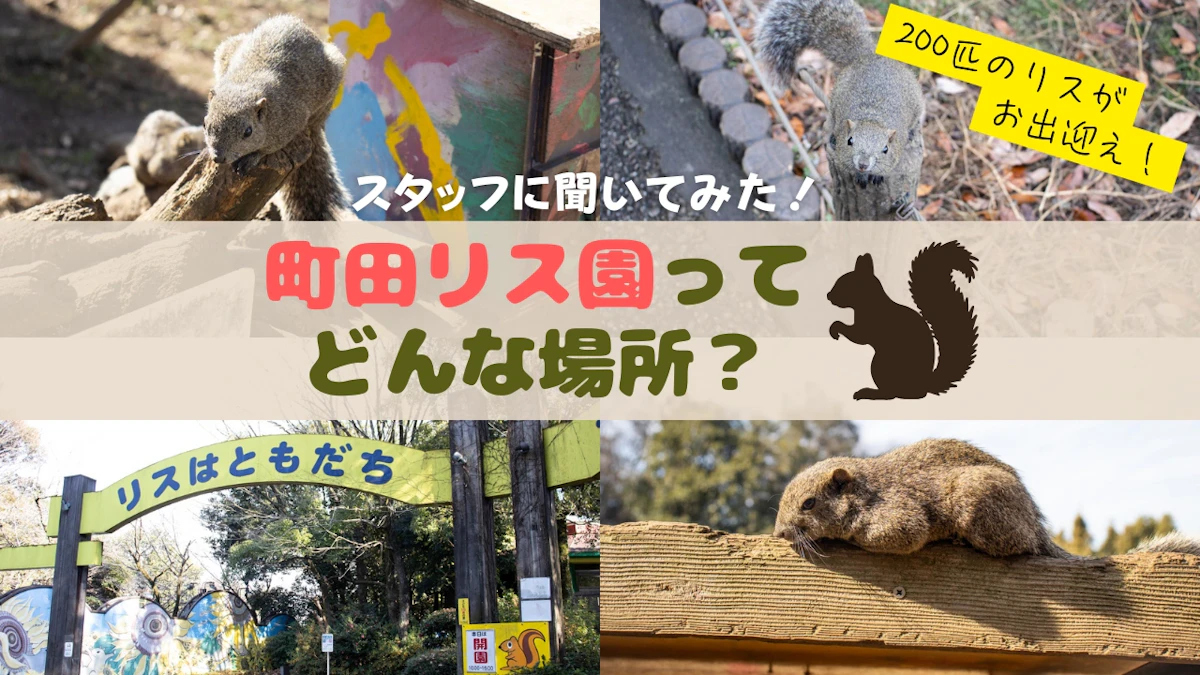 200匹のタイワンリスと触れ合える町田リス園｜スタッフが語る“小さい園”だからこその魅力のサムネイル画像