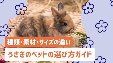 うさぎのベッドの選び方ガイド｜種類・素材・サイズの正しい選び方を解説のサムネイル画像