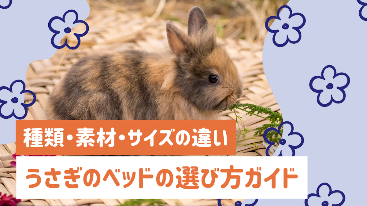 うさぎのベッドの選び方ガイド｜種類・素材・サイズの正しい選び方を解説のサムネイル画像