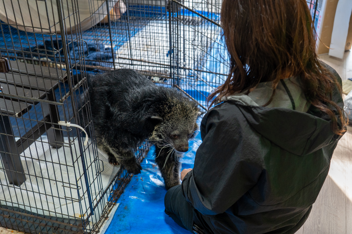 うちの子に“ピッタリ”サイズのケージを。3種の「マルチボックス」で