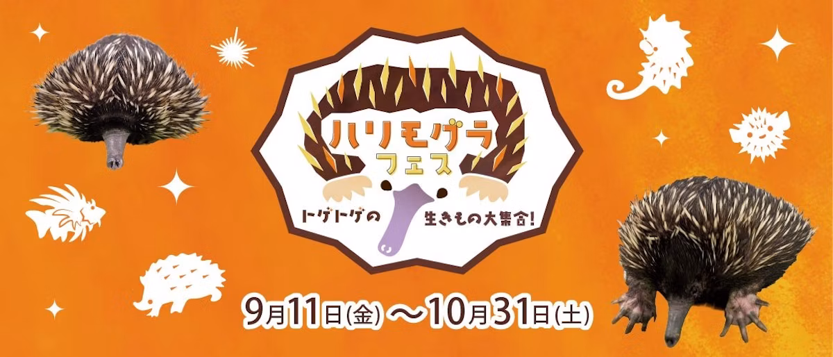 カワスイにハリモグラが登場！秋季企画「ハリモグラ フェス」9月11日開幕