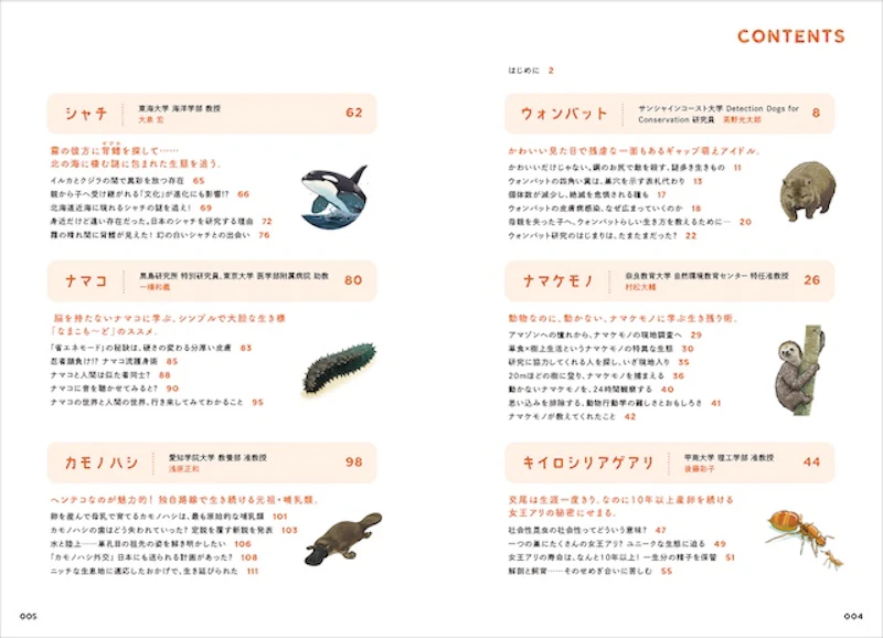 シャチやナマコなど