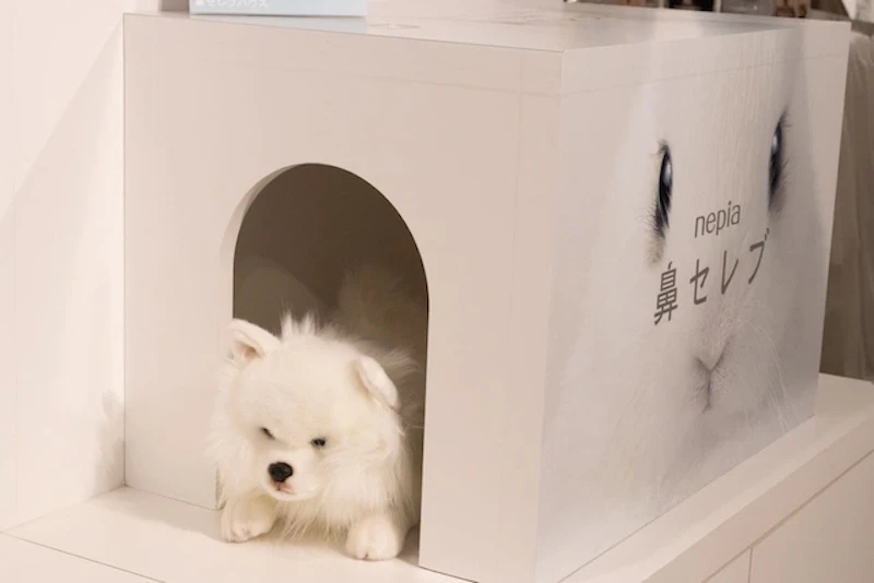 わんちゃんも登場！