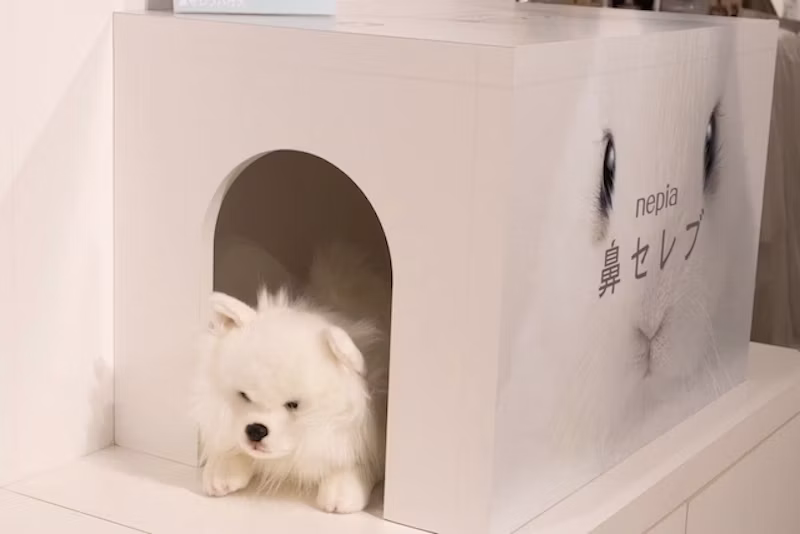 わんちゃんも登場!