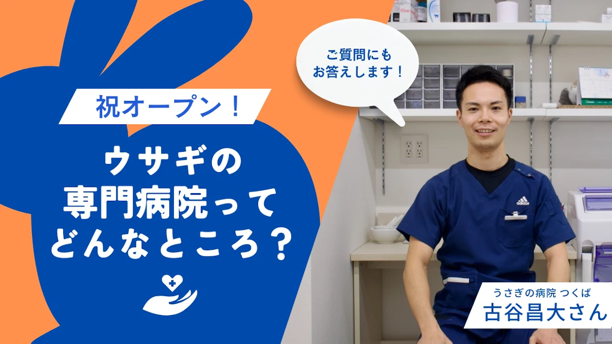 ウサギの専門病院だからこそできるケアとは？ 「うさぎの病院 つくば」古谷院長に聞く