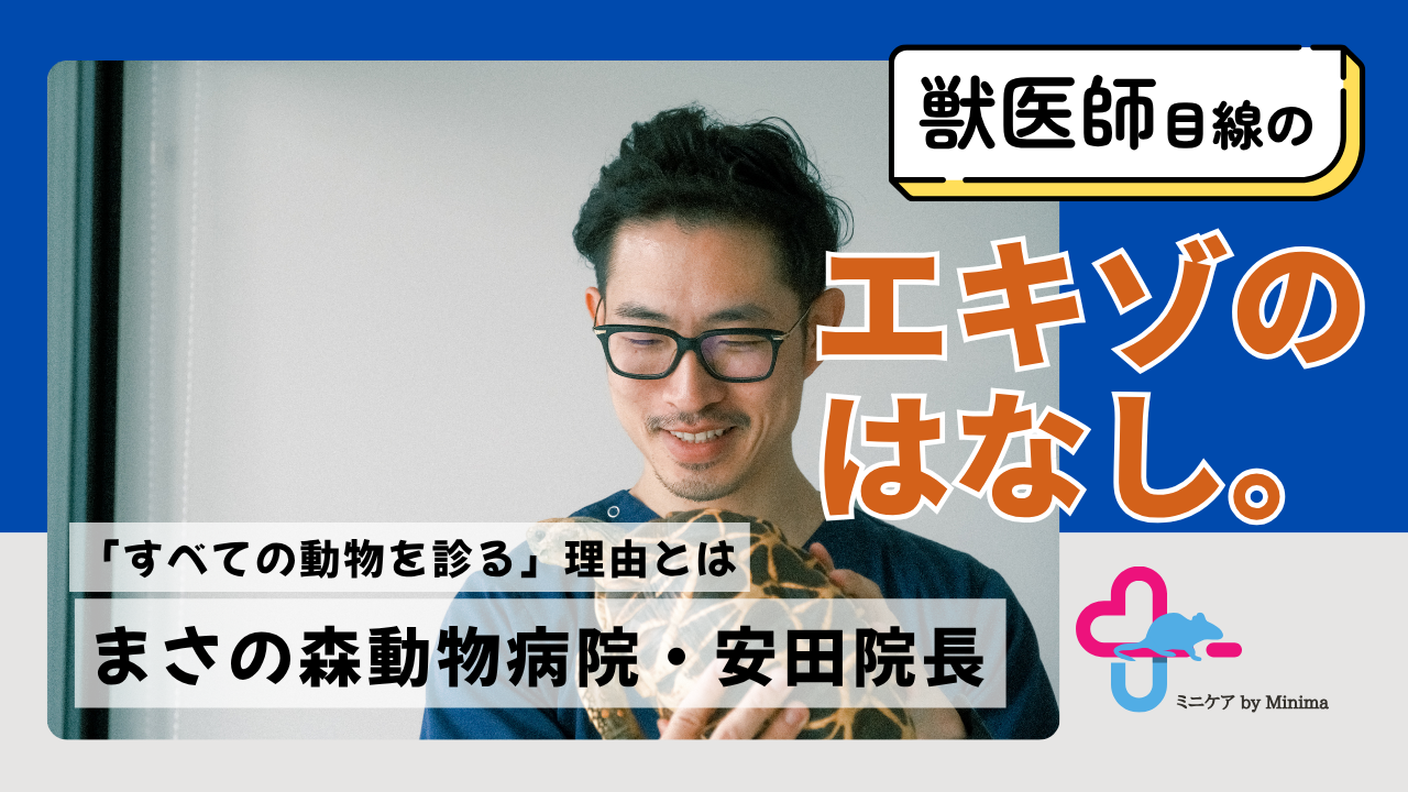 「すべての動物を診る」と決めた理由とは。まさの森動物病院・安田院長が貫く獣医師としての思い【エキゾのはなし。#9】