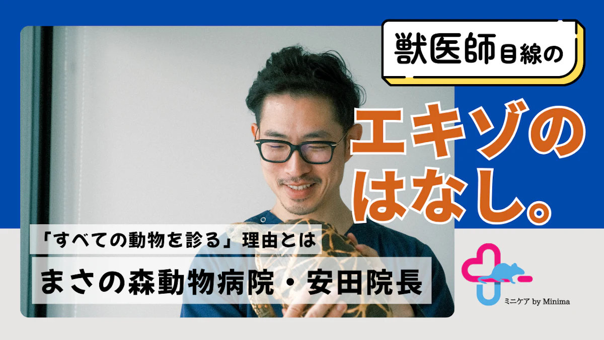 「すべての動物を診る」と決めた理由とは。まさの森動物病院・安田院長が貫く獣医師としての思い【エキゾのはなし。#9】