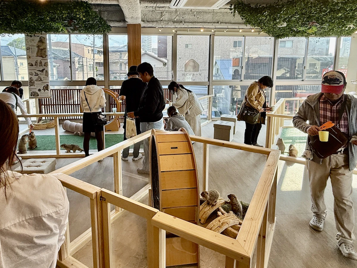 プレオープン時の様子