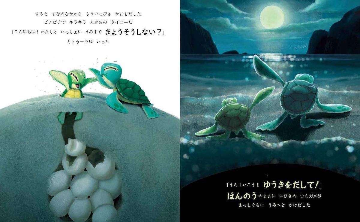 宮沢氷魚が翻訳する絵本『すすめ、ウミガメ』5月27日発売決定｜Minima