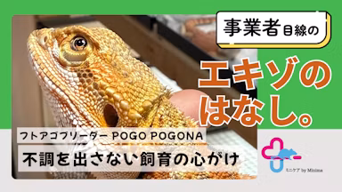 「入門種」こそ難しい。フトアゴヒゲトカゲブリーダー POGO POGONAさんが語る"不調を出さない飼育"【エキゾのはなし。#10】のサムネイル画像