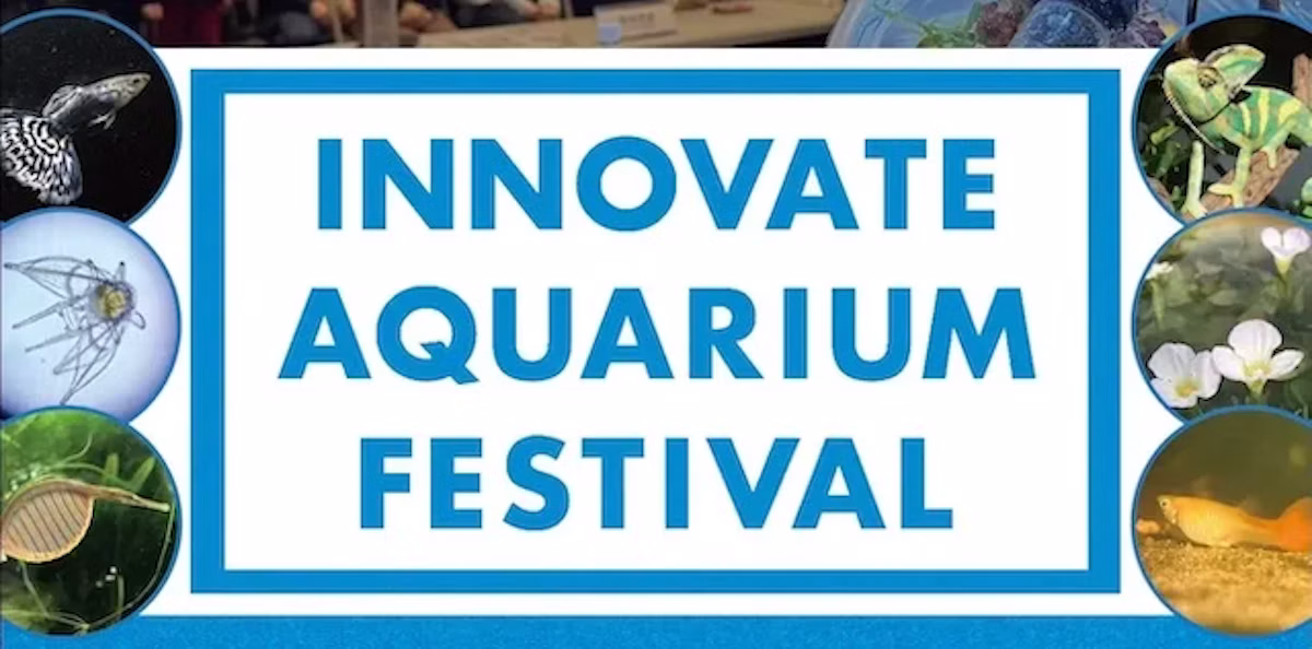 「第3回INNOVATE AQUARIUM FESTIVAL」開催|アクアリウムの可能性を探る2日間に