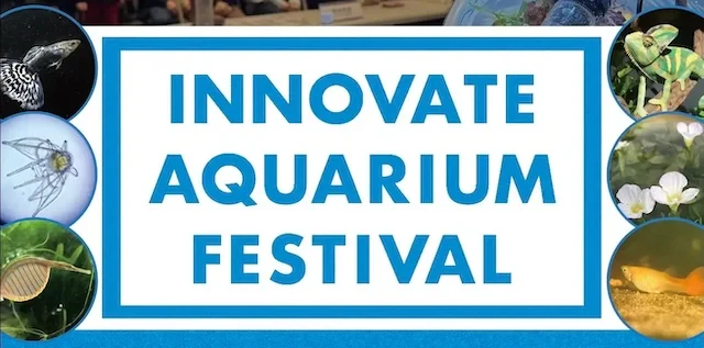 「第3回INNOVATE AQUARIUM FESTIVAL」開催｜アクアリウムの可能性を探る2日間に