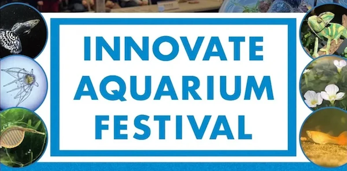 「第3回INNOVATE AQUARIUM FESTIVAL」開催｜アクアリウムの可能性を探る2日間に