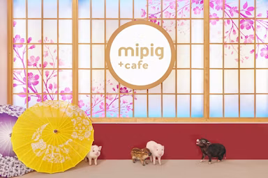 マイクロブタとふれあえる「mipig cafe」浅草店がオープンのサムネイル画像