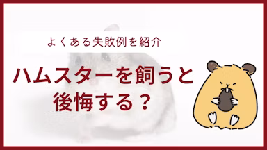 ハムスターを飼って後悔する人の6つの特徴! よくある失敗例を紹介のサムネイル画像