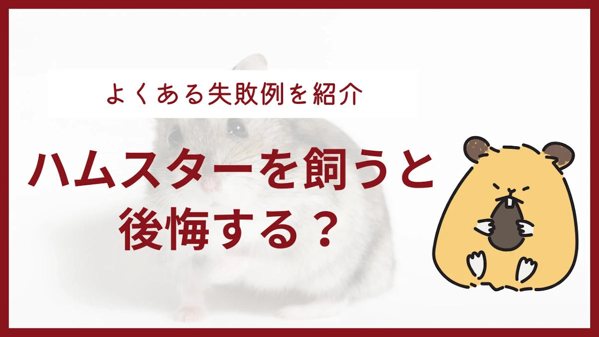 ハムスターを飼って後悔する人の6つの特徴！ よくある失敗例を紹介