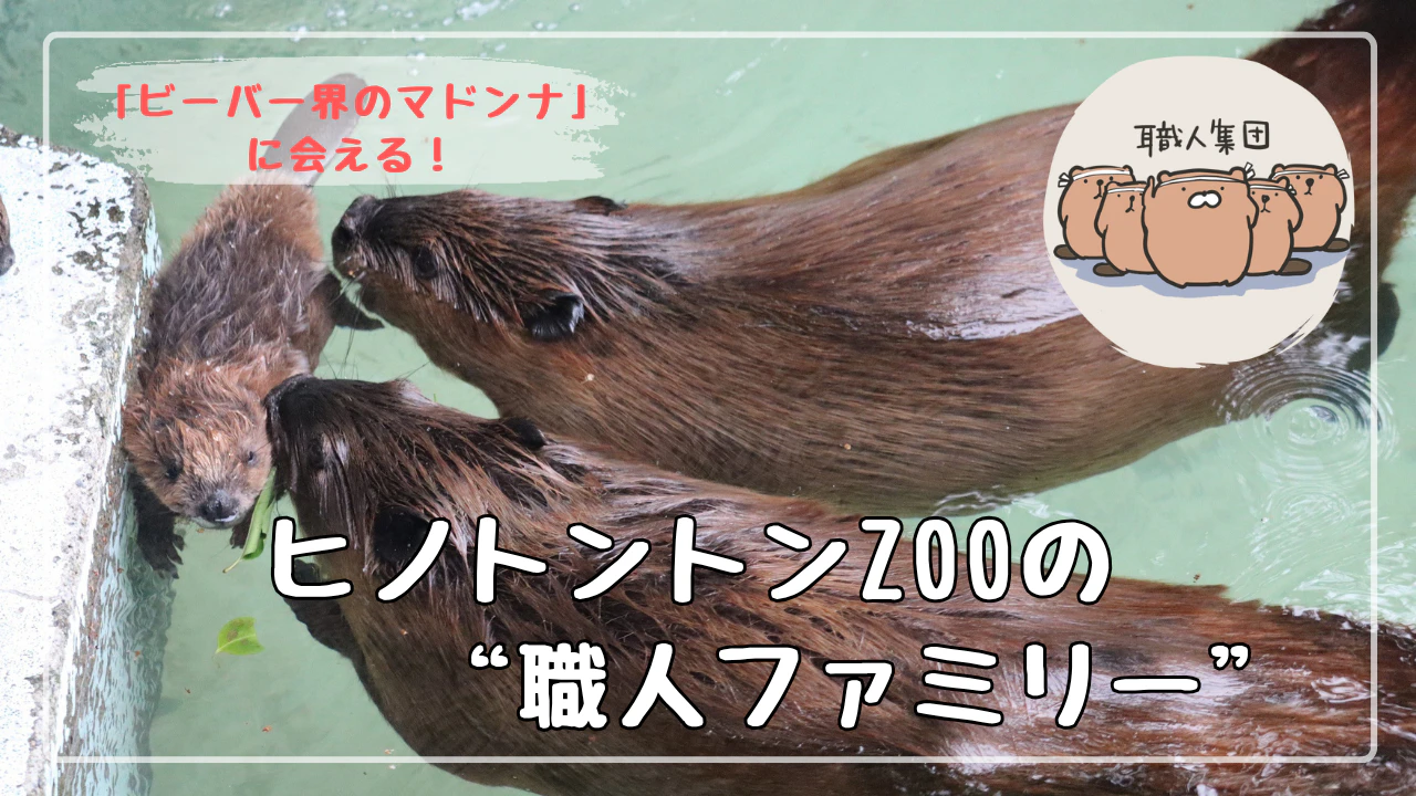 「ビーバー界のマドンナ」に会える！ヒノトントンZOOに聞く、“職人ファミリー”の可愛さのサムネイル画像