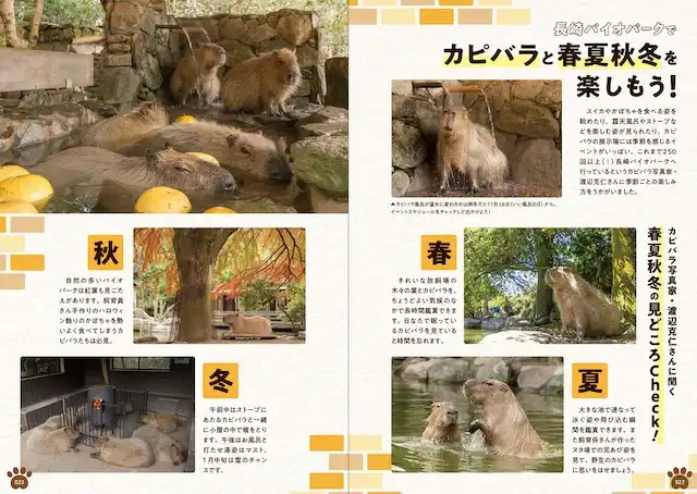 どうぶつPhotoコーナー（カピバラ）