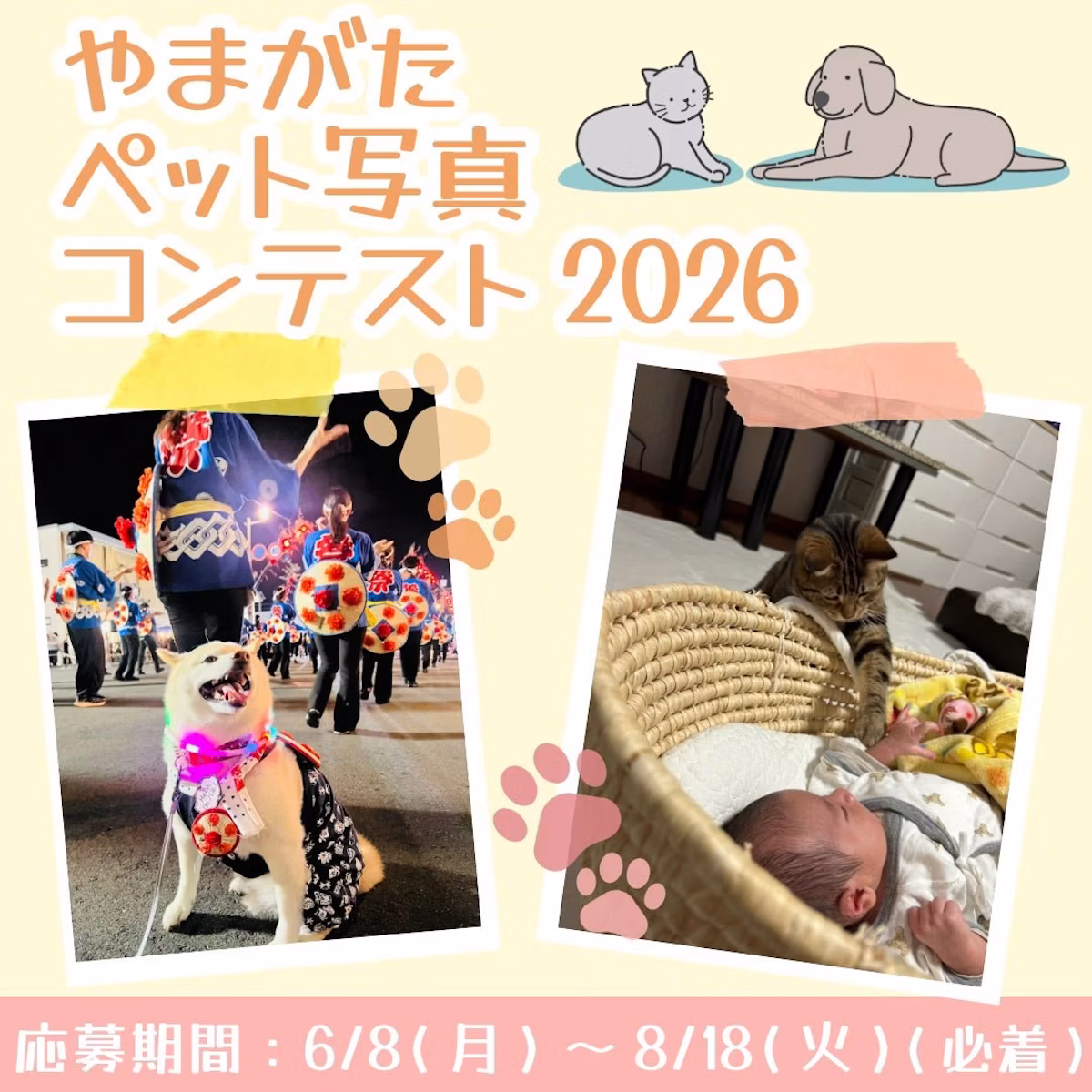 山形県、ペットとの絆を写した「やまがたペット写真コンテスト2026」を開催