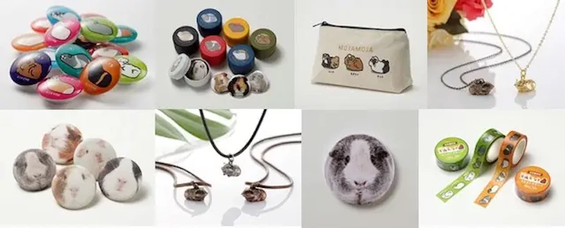 新発売のモルモットグッズ