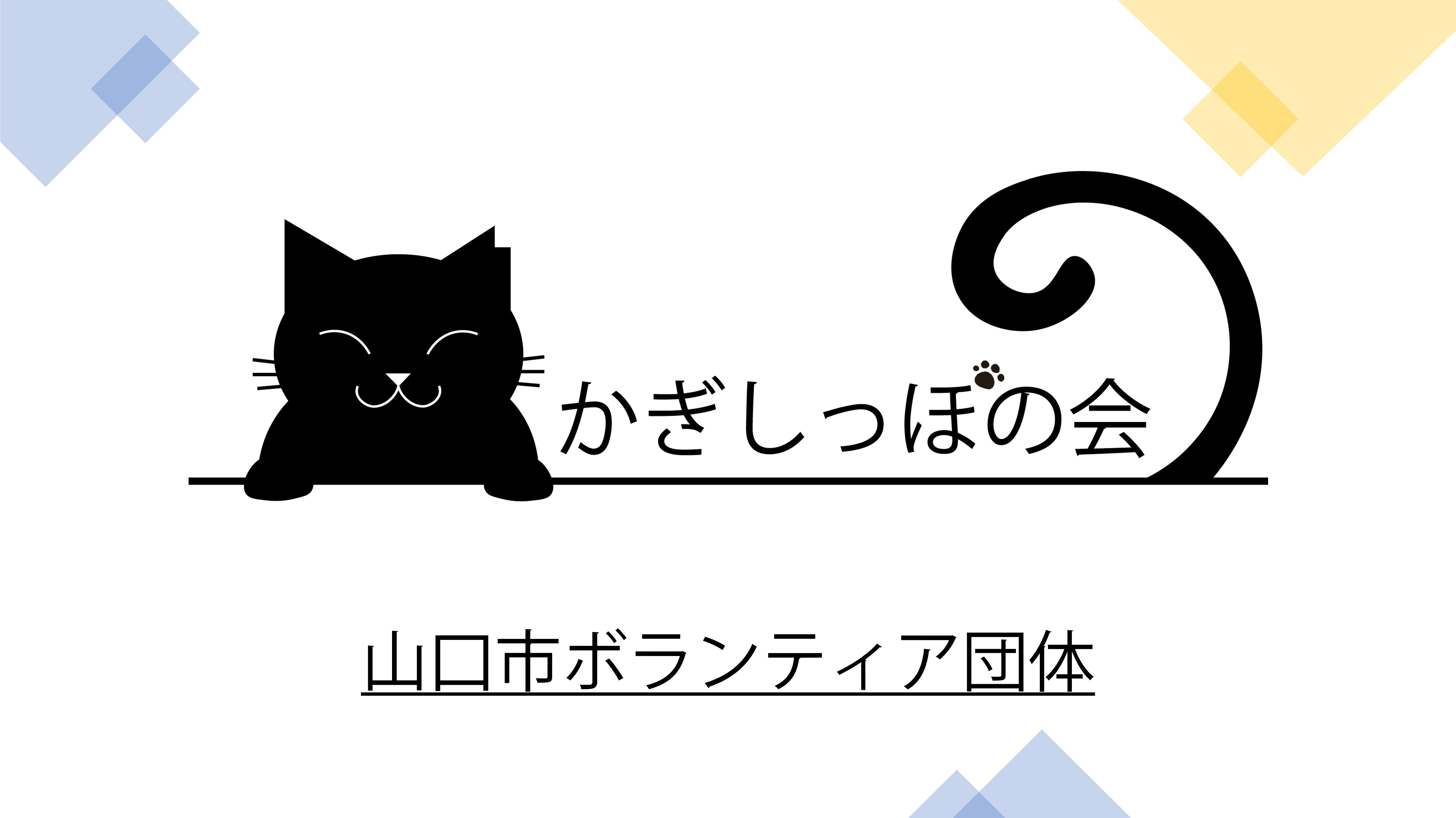 小学校講演レポート