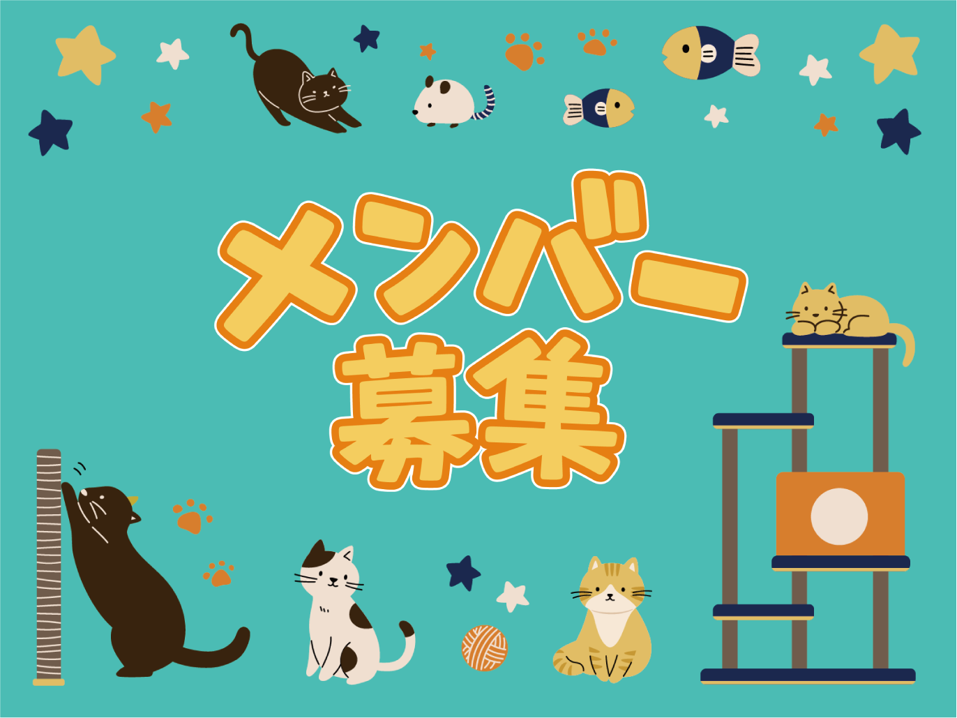 📢【メンバー募集】猫たちのために、できることからはじめてみませんか?