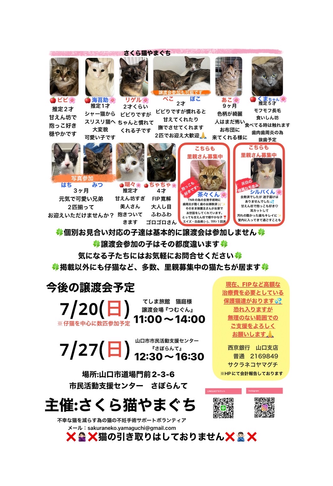 保護猫譲渡会情報