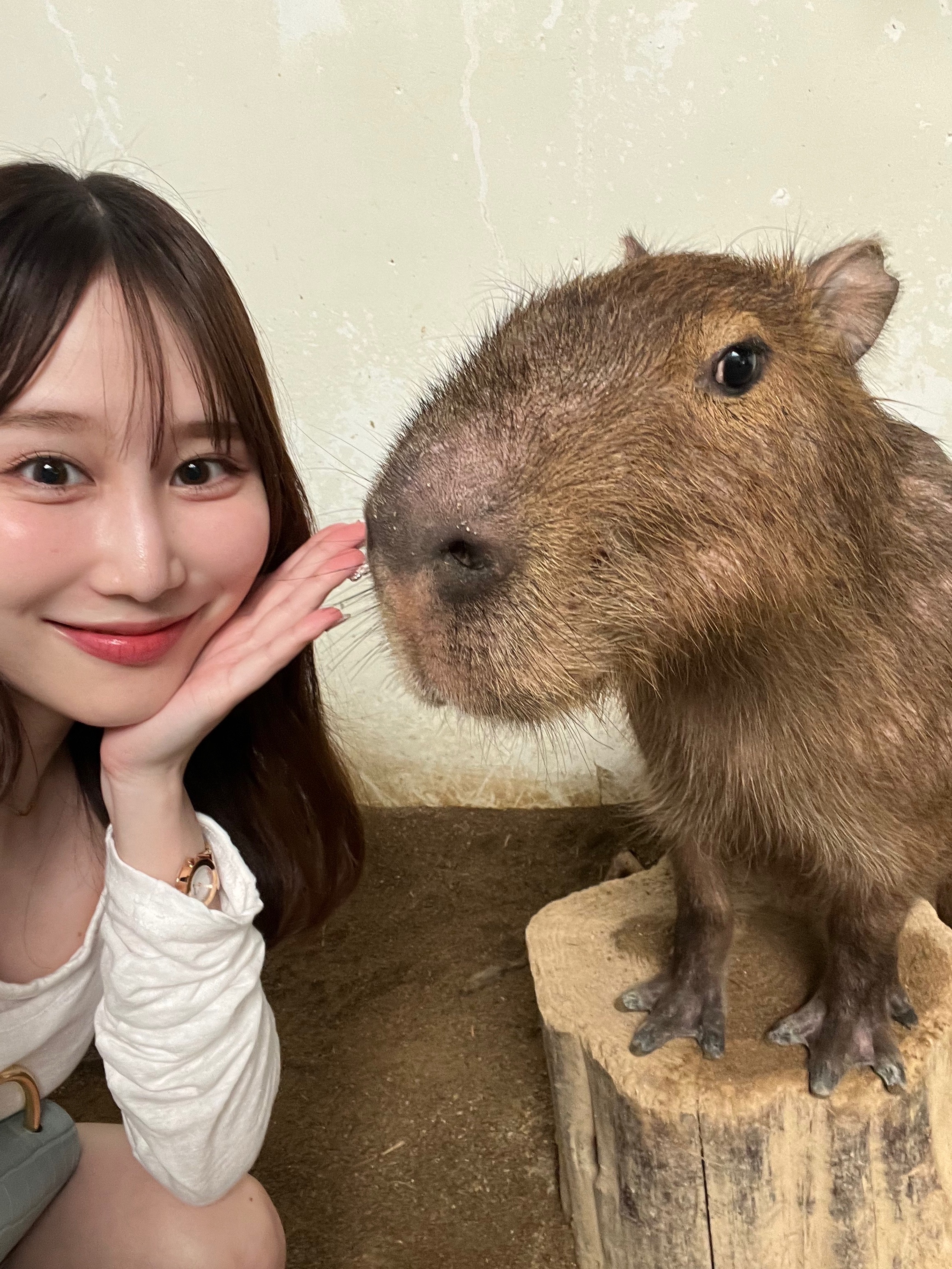 小笠原 楓香 サムネイル 4