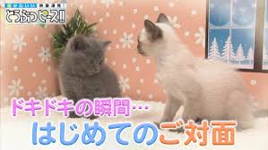 🌸予約確定〜合流〜接客の流れ🌸