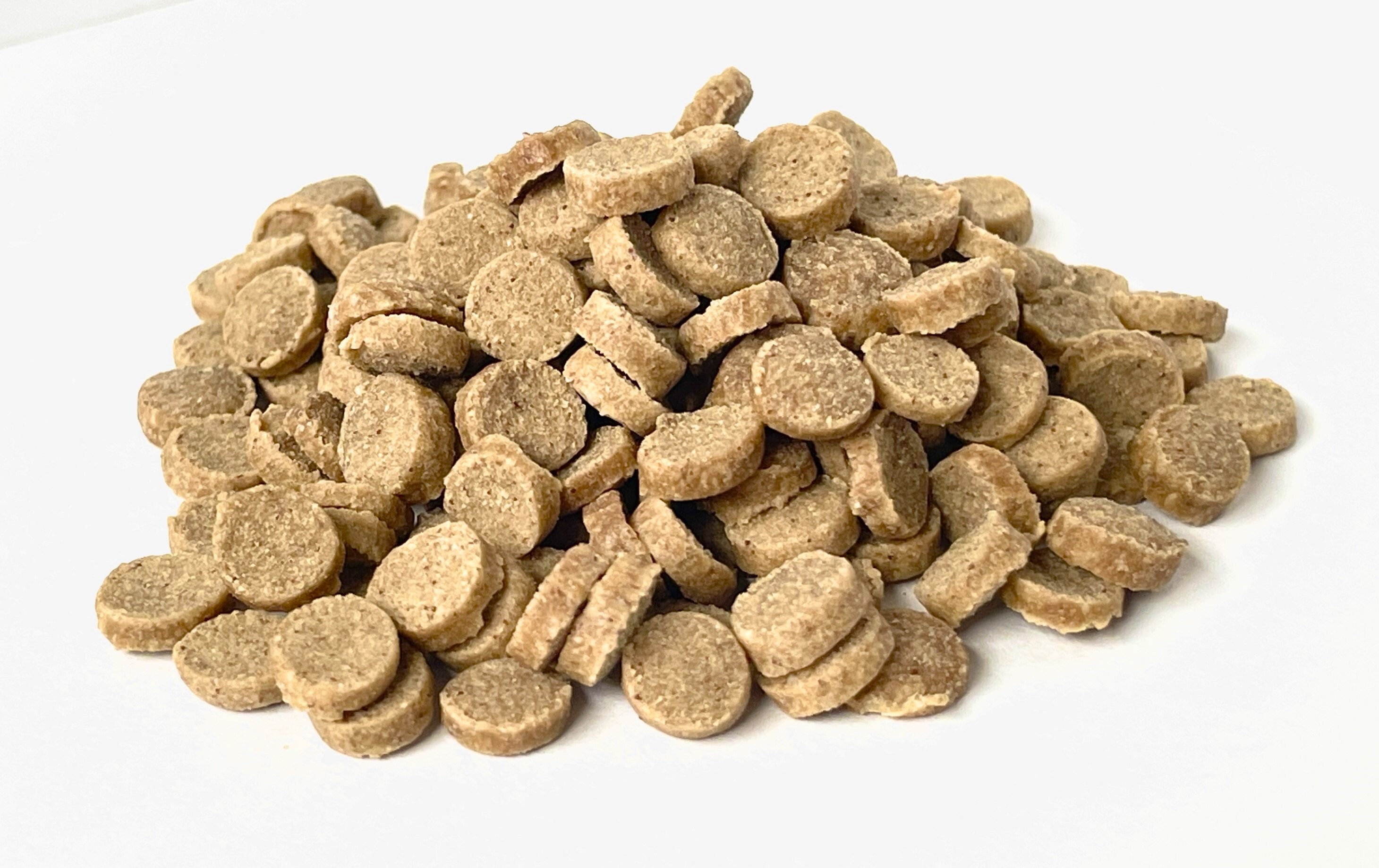 魚由来のドッグフードで「磯焼け」を解決 オーシャンリペアが見据える