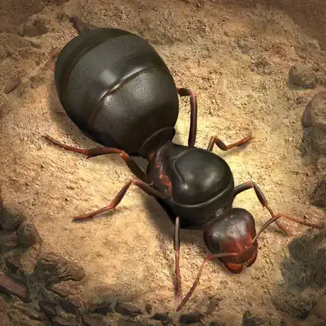 The Ants(ザ・アンツ)のアイコン