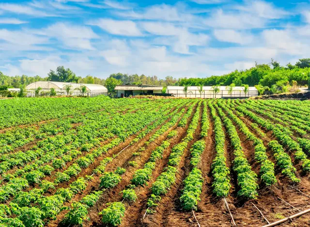 農場ゲームアプリおすすめ人気22選!のんびり/癒し/やり込み系まで