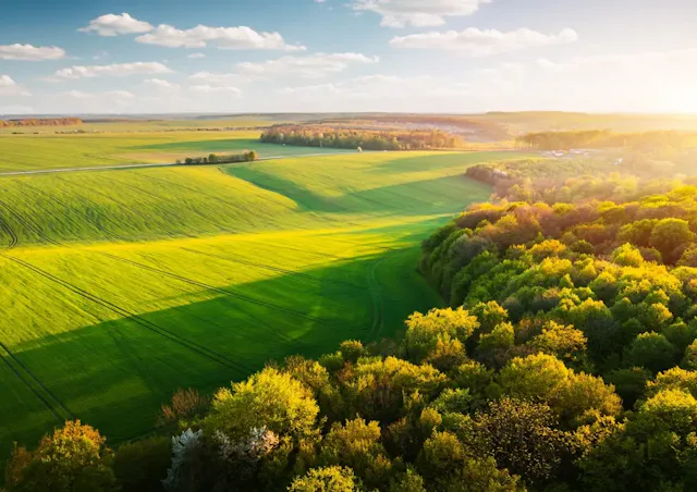 箱庭ゲームの種類